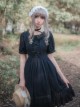 Chiffon Short Sleeves Bowknot Classic Lolita Dress
