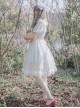 Chiffon Short Sleeves Bowknot Classic Lolita Dress