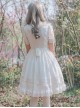 Chiffon Short Sleeves Bowknot Classic Lolita Dress