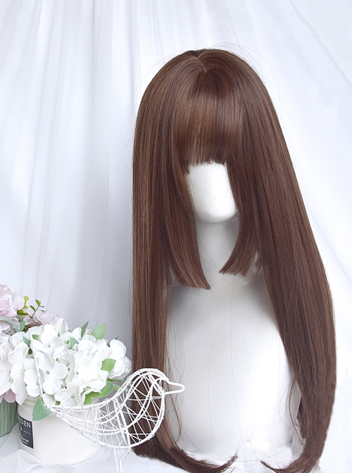 Natural Black Princess Cut Daily Long Straight Hair Classic Lolita Wig