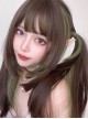 Brown Mixed Color Green Daily Natural Long Straight Hair Air Bangs Classic Lolita Wig