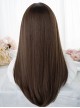 Brown Mixed Color Green Daily Natural Long Straight Hair Air Bangs Classic Lolita Wig