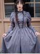 Daily Simple Stand Collar Juliet Sleeve Stripe Retro Metal Photo Frame Hasp Spring Autumn School Lolita Long Sleeve Dress