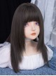 Black-Brown Daily All-Match Layered Long Straight Hair Classic Lolita Wig