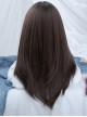 Natural Daily Brown Middle Score Long Straight Hair Classic Lolita Wig