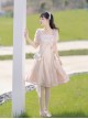 Chinese Style Pink Elegant Square Neck Embroidered Slim Fit Han Element Irregular Hem Classic Lolita Short Sleeve Dress