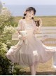 Chinese Style Pink Elegant Square Neck Embroidered Slim Fit Han Element Irregular Hem Classic Lolita Short Sleeve Dress