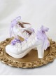 Elegant Ribbon Bowknot Flower Decoration Pointed Toe Classic Lolita Daily All-Match Shoes