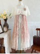 Chinese Style New Chinese Style Han Element Embroidery Bead Chain Decoration Gorgeous Elegant Hanfu Sleeveless Dress Suit