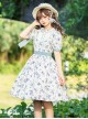 Pastoral Style Blueberry Print Detachable Apron Cute Puff Sleeve Sweet Lolita Short Sleeve Dress Set