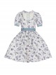 Pastoral Style Blueberry Print Detachable Apron Cute Puff Sleeve Sweet Lolita Short Sleeve Dress Set