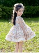 Autumn Winter Small Floral Ribbon Band Fluffy Ruffle Lace Sweet Lolita Kids Sleeveless Dress