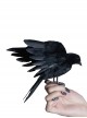 Medieval Cos Retro Dark Handsome Spread Wings Crow Gothic Lolita Simulation Props Bird
