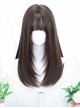 Black Long Straight Brown Simulate Nature Ladylike Temperament Daily Classic Lolita Full Head Wig