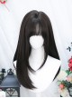 Black Long Straight Brown Simulate Nature Ladylike Temperament Daily Classic Lolita Full Head Wig