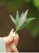 Exquisite Simulation Emerald Green Bamboo Leaf Shape Chinese Style Elegant Classical Hanfu Hairpin