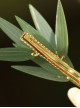 Exquisite Simulation Emerald Green Bamboo Leaf Shape Chinese Style Elegant Classical Hanfu Hairpin