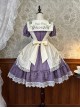 Vineyard Series Elegant Grape Vine Embroidered Lace Bowknot Apron Fake Collar Classic Lolita Short Sleeves Dress OP