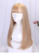 Japanese Style Gentle Flat Bangs Daily Versatile Commute Supple Long Straight Hair Classic Lolita Full Head Wig