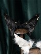 Egyptian Style Dusk Simulated Jackal Plush Cat Golden Jewelry Decorative Ears Abinus Classic Lolita Headband