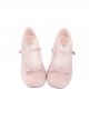 Doll Series Matte Retro Little Bowknot Thin Shoelaces Sweet Lolita Middle Heel Round Toe Mary Jane Shoes