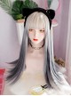 Matte White Gray Gradient Long Straight Hair Dark Y2K Punk Lolita Cyber Alternative Fashion Wig