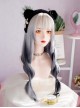 Matte White Gray Gradient Long Straight Hair Dark Y2K Punk Lolita Cyber Alternative Fashion Wig