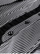 Gothic Style Bow Tie Unique Metal Scissors Decoration Black And White Striped College Style Puff Sleeves Dress