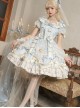 Gorgeous Dreamy Girl Pearl Lace Ruffle Stereoscopic Rolled Waist Flower Yarn Palace Vintage Classic Lolita Dress