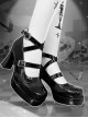 Cemetery Cake Series Subculture Y2K Embroidery Patent Leather Black Platform High Heel Mary Jane Shoes
