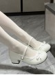 Little Fleur Series Sweet Lolita Cute Round Toe Japanese Daily Comfortable Mid Heel Mary Jane Shoes