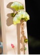 Chinese Style Classic Lolita Green Spring Summer Intangible Cultural Heritage Velvet Flower Ginkgo Leaf Hairpin