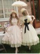 Glass Flower House Series Elegant Rose Embroidered V Shaped Splicing Covered Button Lace Ruffle Drawstring Hem Classic Lolita Short Sleeve Dress