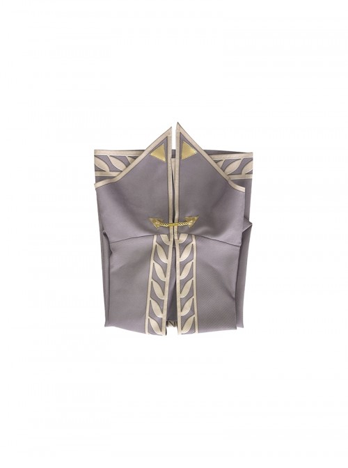 The Legend Of Zelda Breath Of The Wild Halloween Cosplay Princess Zelda Costume Gray Cloak