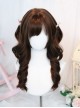 Japanese Retro Style Chocolate Brown All Match Natural Side Swept Bangs Sweet Lolita Long Curly Wig