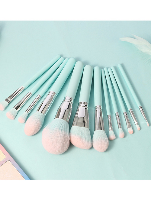 Dreamy Blue And Pink 12 Makeup Brushes Set