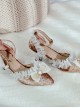 Wedding Dress Tea Party Elegant Velour Classic Lolita Pointed-toe High Heel Shoes