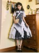 Solitary Crane Cries Series SK Chinese Style Elegant Light Classic Lolita Long Skirt