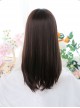 Brown Daily Style Inner Buckle Straight Wig Classic Lolita Wigs