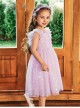 Purple Pleated Mesh Cute Sequins Bow Knots Print Decoration Flowers Children Lolita Kids Flying Sleeves Dress