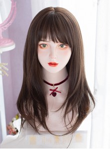 Daily Cute Cold Brown Oblique Bangs Long Micro Volume Straight Hair Lolita Wigs