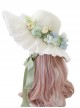 Classic Lolita Sweet Flower Bow Knots Decoration Lace Wide Brim Design Shade Straw Hat