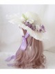 Classic Lolita Sweet Flower Bow Knots Decoration Lace Wide Brim Design Shade Straw Hat