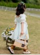 Exquisite Flower Embroidery Chest Ruffled Edge Apron Decoration Bow Knot Puff Sleeves Classic Lolita Kid Princess Dress