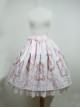 Cinderella Series Exquisite Graphic Print Design Jacquard Lace Hem Classic Lolita Sweet Skirt