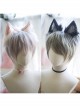 Boys Lolita Handsome And Cute Wolf Teenager Slanted Bangs Daily Short Wig