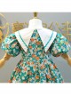 Color Floral Decoration White Triangular Lapel Design Cotton Classic Lolita Kid Short Sleeve Dress