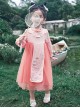 Chinese Hanfu Style Delicate Floral Embroidery Irregular Pleated Button Neckline Pink Long Sleeve Kid Dress