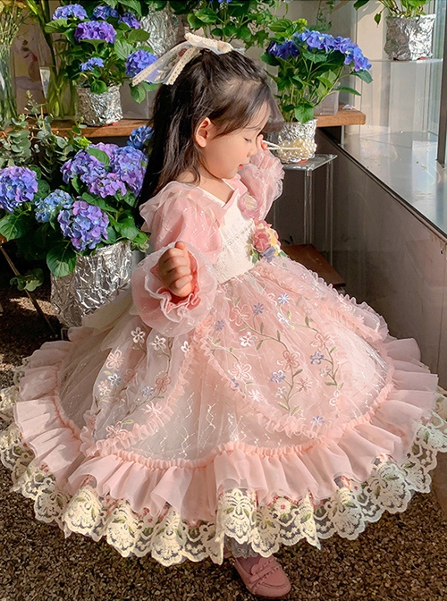 Pleated Lace Mesh Design Delicate Flower Embroidery Cute Long Sleeves Three-Dimensional Flower Decoration Classic Lolita Kid Dress