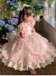 Pleated Lace Mesh Design Delicate Flower Embroidery Cute Long Sleeves Three-Dimensional Flower Decoration Classic Lolita Kid Dress